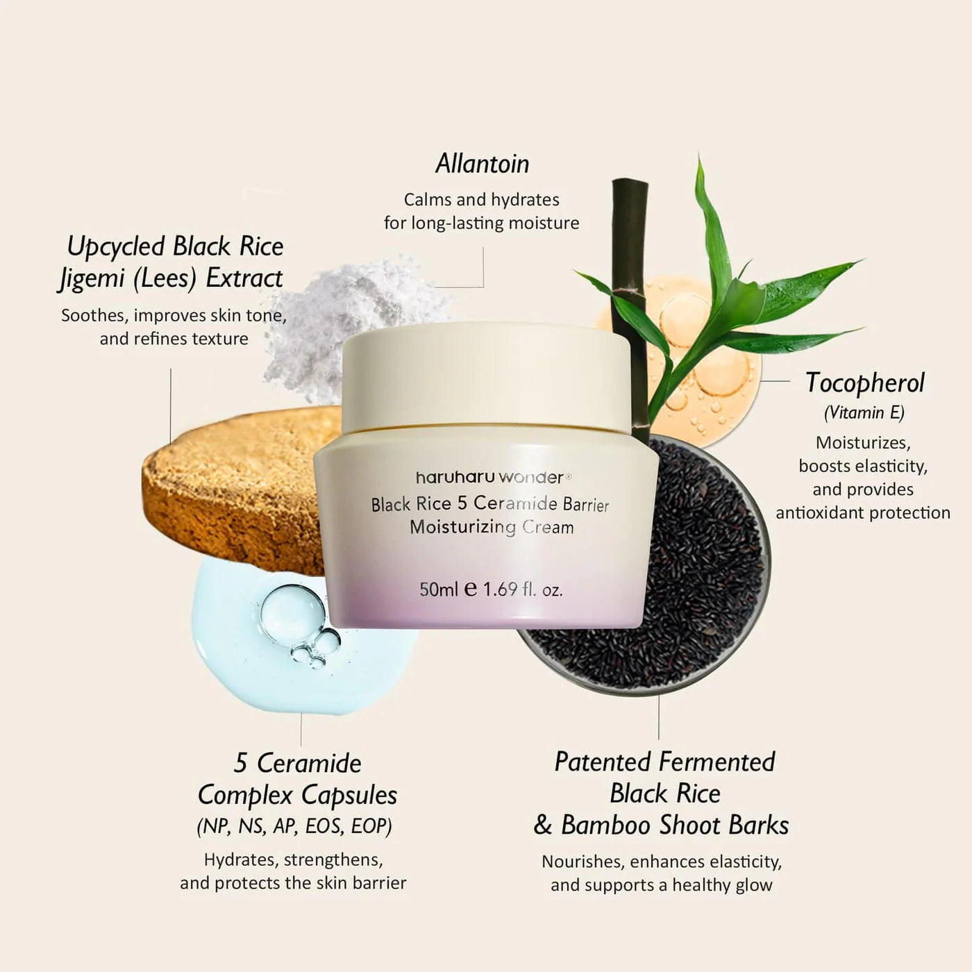 HaruHaru Wonder Black Rice 5 Ceramide Barrier Moisturizing Cream - 50ml