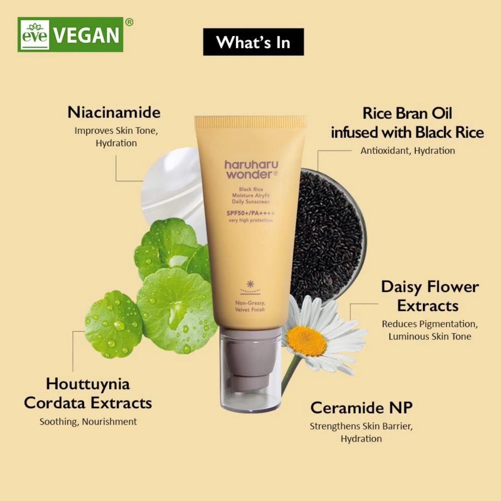 Haruharu wonder Black Rice Moisture Airyfit Daily Sunscreen SPF50+/PA++++ - 50ml